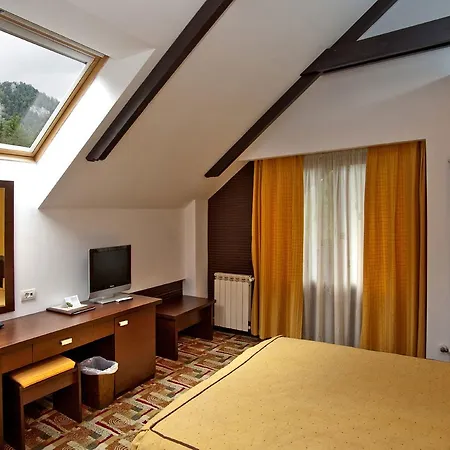 Hotel Casa Iris-hotel & Restaurant Sinaia